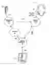Fig. 01 - Methods of commissioning and manufacturing customized dental implants