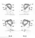 Fig. 03 - Virtual encounters