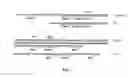 Fig. 06 - Stable expression of polymorphous forms of human cytochrome p450 2d6