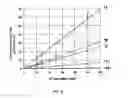 Fig. 22 - Stable expression of polymorphous forms of human cytochrome p450 2d6