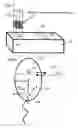 Fig. 02 - Male fertility assay method and device