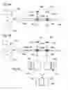 Fig. 08 - Male fertility assay method and device