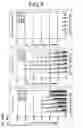 Fig. 07 - Methods of examining (-) strand rna virus vectors having lowered ability to form grains and method of constructing the same