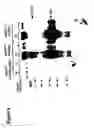 Fig. 08 - Phagemid display system