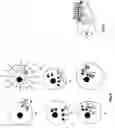 Fig. 04 - End of aids for general virology, based on profound science as protein foldings: safe vaccines, universal antimicrobial means, mad cow end