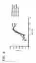 Fig. 07 - Coronavirus-like particles comprising functionally deleted genomes