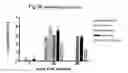 Fig. 45 - Coronavirus-like particles comprising functionally deleted genomes
