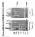 Fig. 04 - Antibodies specific for NEBR1 and methods of use thereof