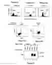 Fig. 02 - Targeting gene transfer vectors to certain cell types by pseudotyping with viral glycoprotein