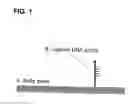 Fig. 02 - Method f amplifying dna chip signals