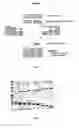 Fig. 02 - Process for preparing variant polynucleotides