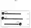 Fig. 07 - Methods for making polynucleotides and purifying double-stranded polynucleotides