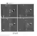 Fig. 09 - Electrophoretic ratchets and cyclic electrophoresis