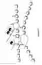 Fig. 06 - Tagging and recovery of elements associated with target molecules