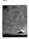 Fig. 04 - Serrs reactive particles