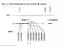 Fig. 04 - Polymorphism of soati useful for identifying risk of developing alzheimer's disease