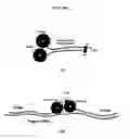 Fig. 08 - Multifunctional magnetic nanoparticle probes for intracellular molecular imaging and monitoring