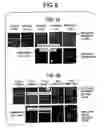 Fig. 08 - Label-free gene expression profiling with universal nanoparticle probes in microarray assay format