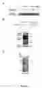 Fig. 06 - Novel cell cycle genes required for mitotic entry