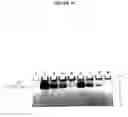 Fig. 22 - Charge tags and the separation of nucleic acid molecules