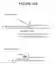 Fig. 32 - Charge tags and the separation of nucleic acid molecules