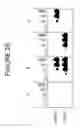 Fig. 34 - Charge tags and the separation of nucleic acid molecules
