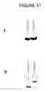 Fig. 47 - Charge tags and the separation of nucleic acid molecules