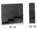 Fig. 03 - Nucleic acid-engineered materials