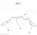 Fig. 02 - Functional molecule and process for producing the same