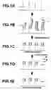 Fig. 02 - Method of detecting mismatching regions