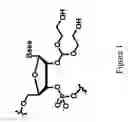 Fig. 02 - Splint-assisted enzymatic synthesis of polyribounucleotides