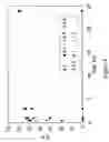Fig. 06 - Splint-assisted enzymatic synthesis of polyribounucleotides