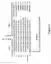 Fig. 08 - Splint-assisted enzymatic synthesis of polyribounucleotides