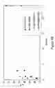 Fig. 14 - Splint-assisted enzymatic synthesis of polyribounucleotides