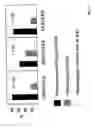 Fig. 02 - Diagnostic and screening method for male infertility