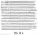 Fig. 22 - Novel GABAB receptor DNA sequences