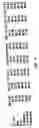 Fig. 04 - Vectors for directional cloning