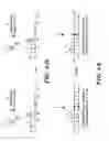 Fig. 06 - Selective ligation and amplification assay