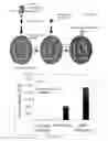 Fig. 16 - Methods of screening for compounds that modulate hormone receptor activity