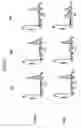 Fig. 04 - High throughput screening method for compounds with non-, pro-, or anti-apoptotic or proliferative or necrotic activity