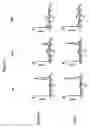 Fig. 05 - High throughput screening method for compounds with non-, pro-, or anti-apoptotic or proliferative or necrotic activity