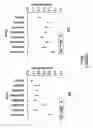 Fig. 09 - High throughput screening method for compounds with non-, pro-, or anti-apoptotic or proliferative or necrotic activity
