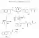 Fig. 04 - Assay for entactogens