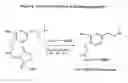 Fig. 07 - Assay for entactogens