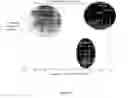 Fig. 02 - Process control based on microbiological activity