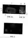 Fig. 02 - Isolation and cultivation of microorganisms from natural environments and drug discovery based thereon