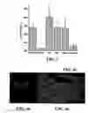 Fig. 03 - Isolation and cultivation of microorganisms from natural environments and drug discovery based thereon