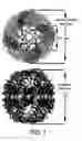Fig. 02 - Ordered biological nanostructures formed from chaperonin polypeptides