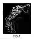 Fig. 22 - Ordered biological nanostructures formed from chaperonin polypeptides