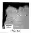 Fig. 33 - Ordered biological nanostructures formed from chaperonin polypeptides